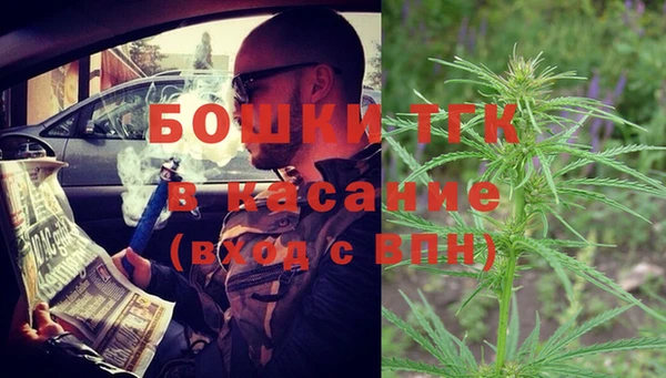 стаф Снежинск