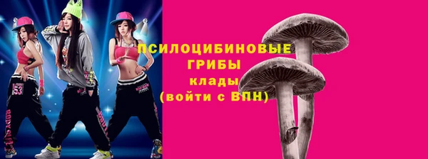 тгк Снежногорск