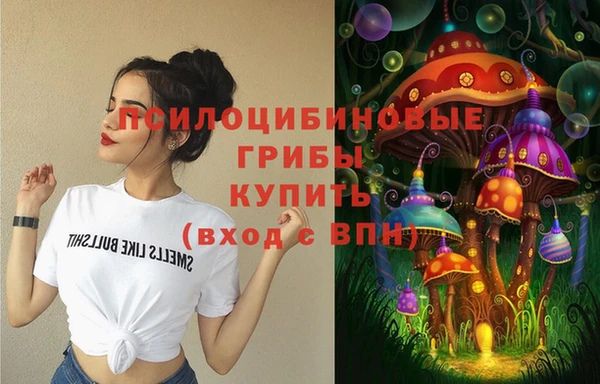 mdpv Инсар