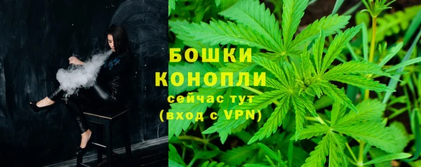 тгк Снежногорск