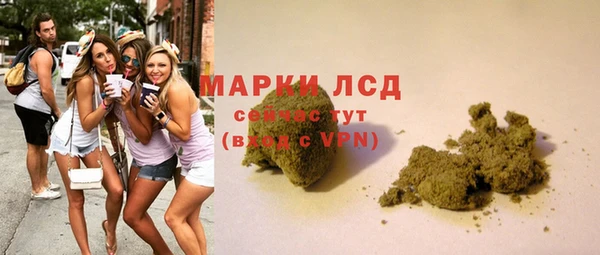 стаф Снежинск