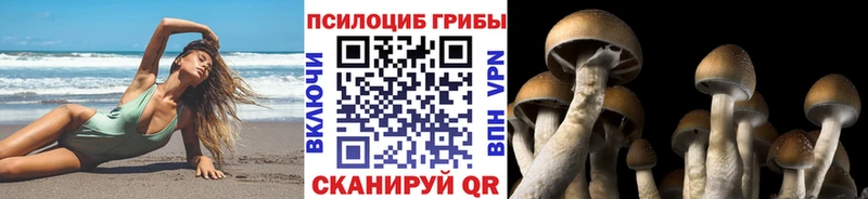 darknet как зайти  Невьянск  Галлюциногенные грибы GOLDEN TEACHER 